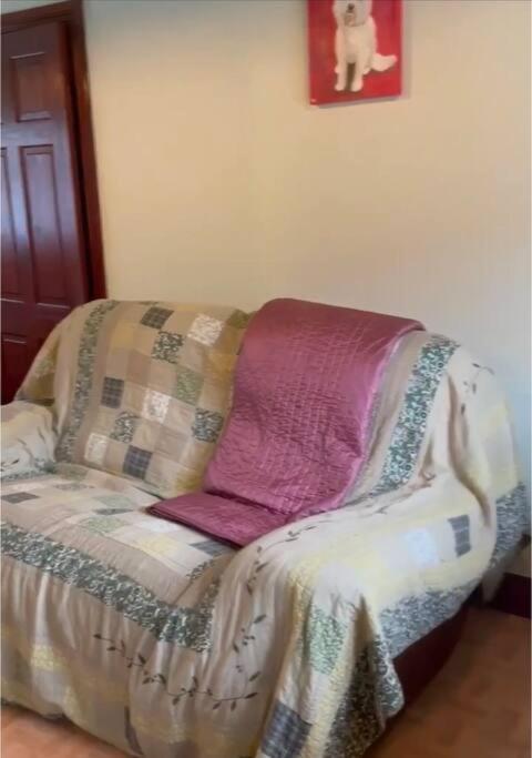 Annie Dee'S Guest Accommodation Ballygowan Eksteriør bilde
